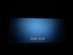 -万达影城(锦华万达广场IMAX店)