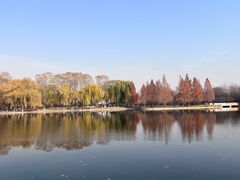 -石家庄市植物园