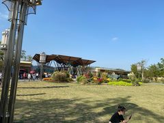 -上海长兴岛郊野公园