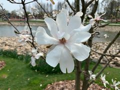 -莱蔻·圣灸堂·推拿艾灸(天山店)