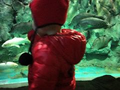 -威海华夏城景区