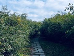 -大望京公园