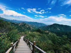 -大岭沟猕猴桃谷风景区
