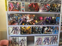 -玩动奇季品牌玩具超市