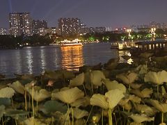-济南大明湖景区