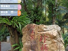 -深圳仙湖植物园