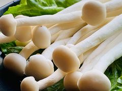 -围炉·川味鲜货火锅(万达珍珠坊店)