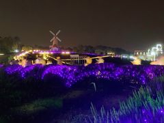 -大塘金香草谷