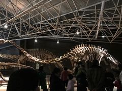 -世界恐龙谷景区