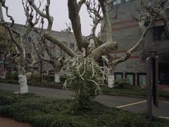 -阿姨奶茶专卖(舌涧道杭州惠民路创始店)