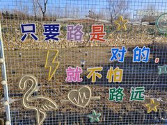 -莫子山公园
