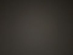 -FLARE STAR FITNESS(复地活力城店)