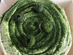 -唐·匠心·动物奶油·冰淇淋蛋糕(石岐店)