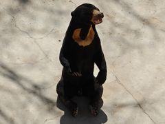 -石家庄市动物园