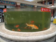 -陇南批发市场