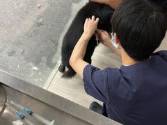 -申普宠物医院·眼科·心内科·影像科(普陀分院)
