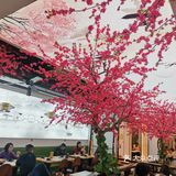 你在成都等我？！0元探店之旅由此开启…