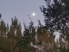 -黑龙江省森林植物园