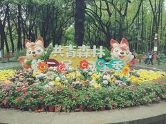 -上海共青森林公园