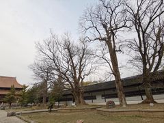 -苏州文庙(姑苏区)