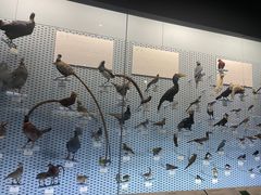 -浙江自然博物院(杭州馆)