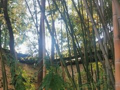 -昭明书院
