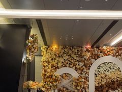 -张生记(双菱店)