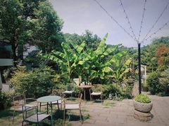 -Cafe In Little Forest