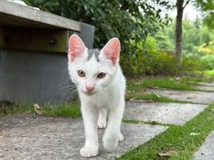 -东华大学(松江校区)