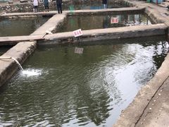 -双新垂钓园