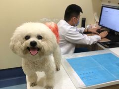 -萌兽医馆·犬猫专科·眼科中心·宠物医院(朝阳门分院)
