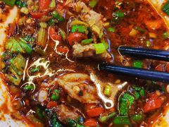 精品羊肉-清真华宇开锅羊肉