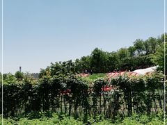 -南翠屏公园
