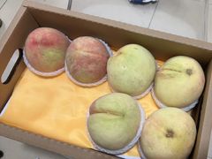 -老袁家蜜桃农场·阳山水蜜桃