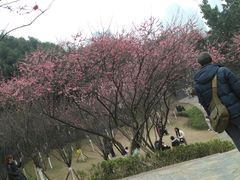 -重庆彩云湖湿地公园