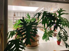 -二酉书店TOYOU BOOKS