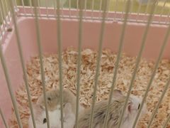 -龙猫仔乐园(惠福东路店)