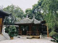 -山大王菌莊
