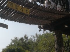 -呀路古热带植物园