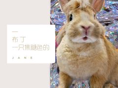 -北京观赏动物医院·24小时大型综合·猫专科·异宠专科