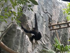 -武汉动物园