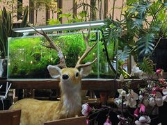 -大书房咖啡(中传国交店)