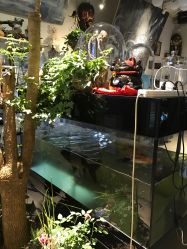 -周忆刺青原创设计定制