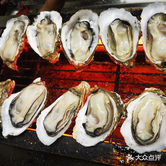 老虎狗酒吧(银湖路店)