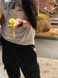 -酷嗒动物文化乐园(cutezoo西溪乐天城店)