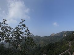 -大岭沟猕猴桃谷风景区