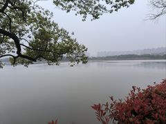 -洋湖国家湿地公园