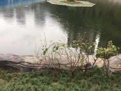 -重庆彩云湖湿地公园