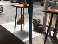 大堂-小梁哥云吞面(黄贝岭店)