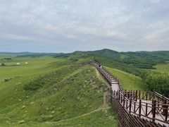 -乌兰布统草原